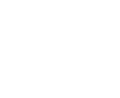 Icon Arrow