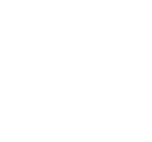 Icon Arrow