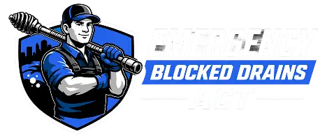 Ebd logo big